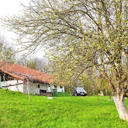 La sălaşul fermecat în Cheile Carasului Iabalcea Exterior foto