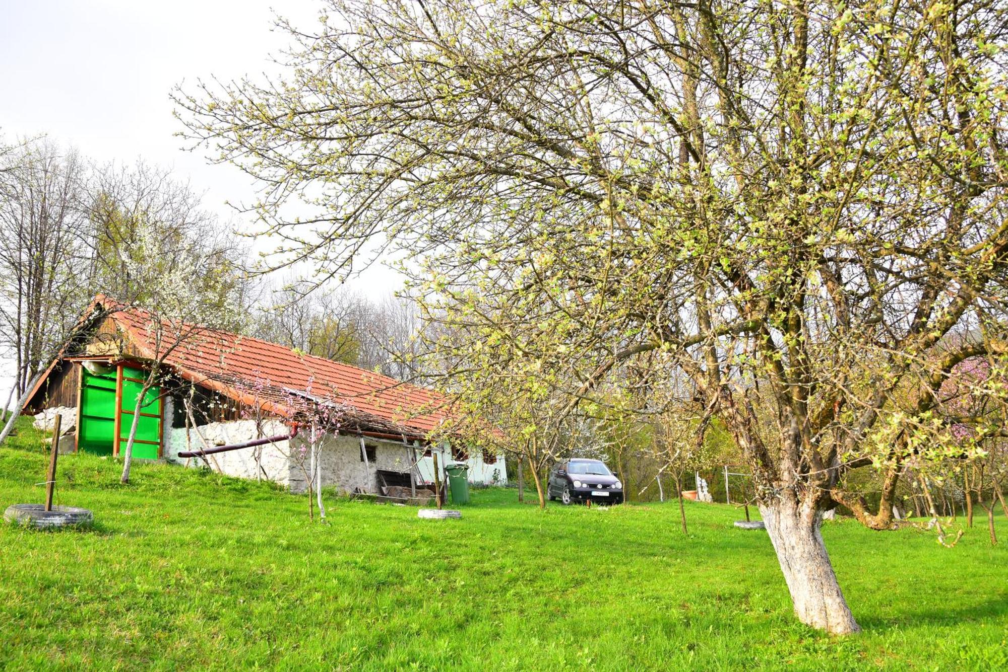 La sălaşul fermecat în Cheile Carasului Iabalcea Exterior foto