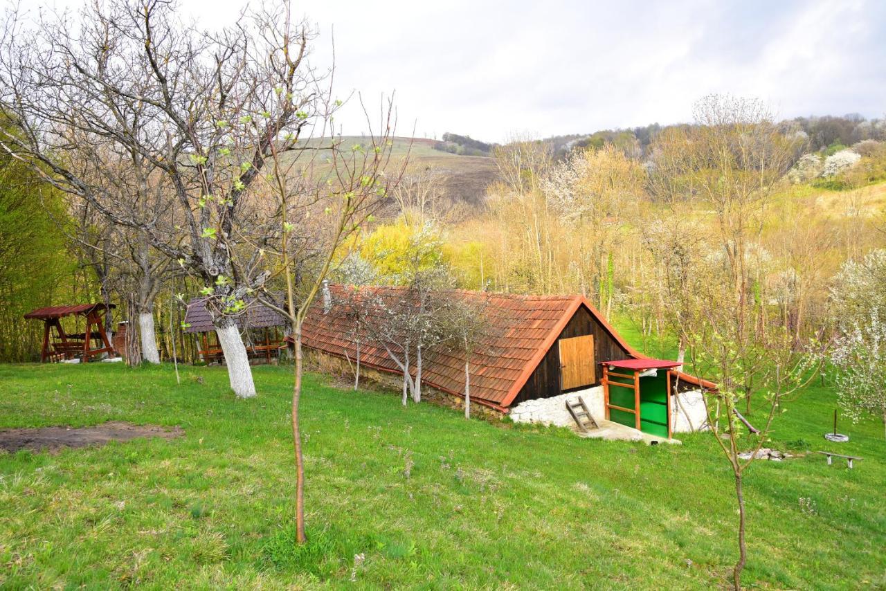 La sălaşul fermecat în Cheile Carasului Iabalcea Exterior foto
