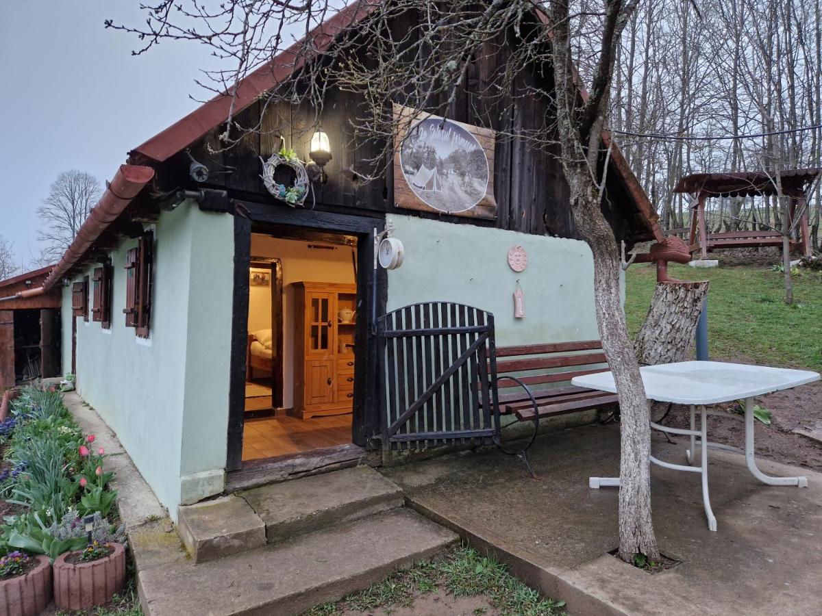 La sălaşul fermecat în Cheile Carasului Iabalcea Exterior foto