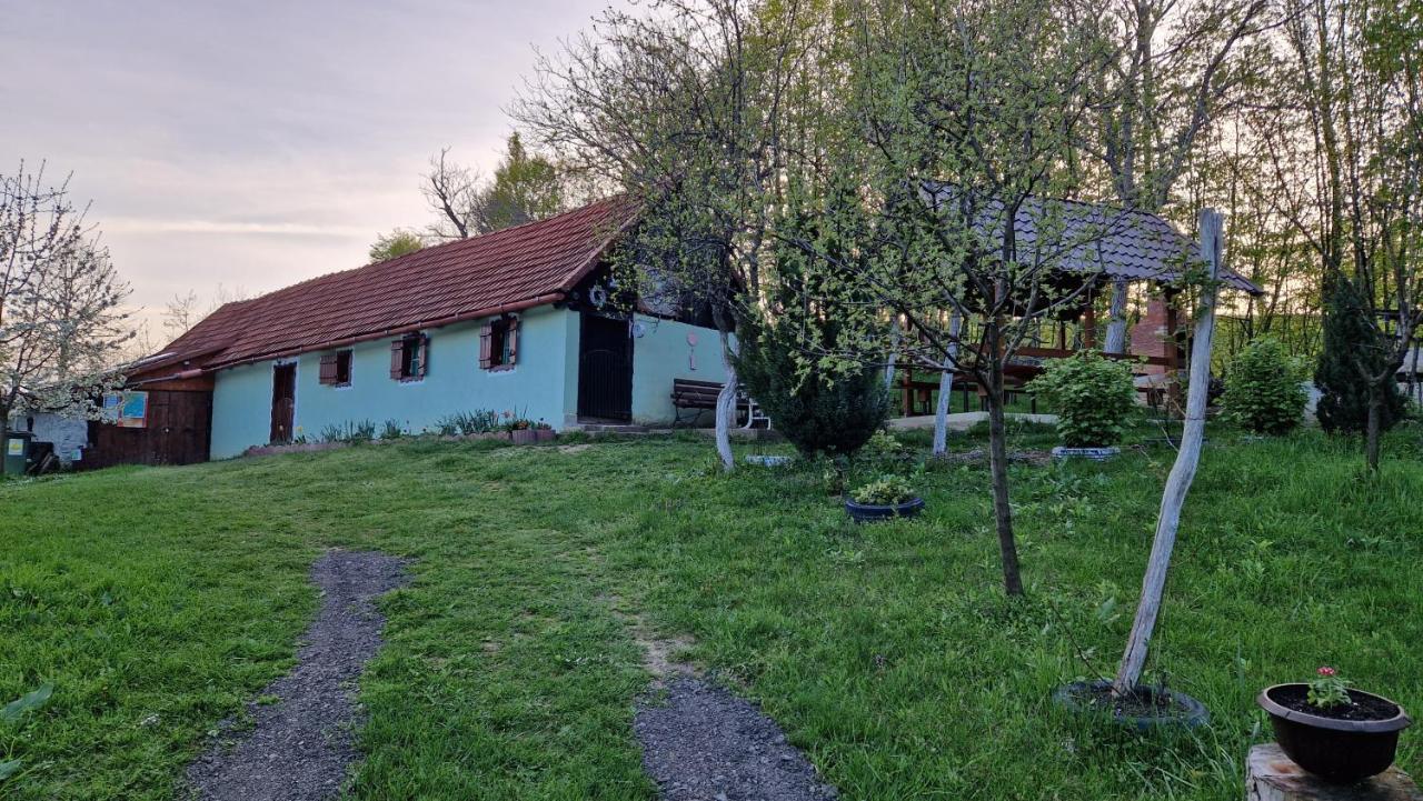 La sălaşul fermecat în Cheile Carasului Iabalcea Exterior foto