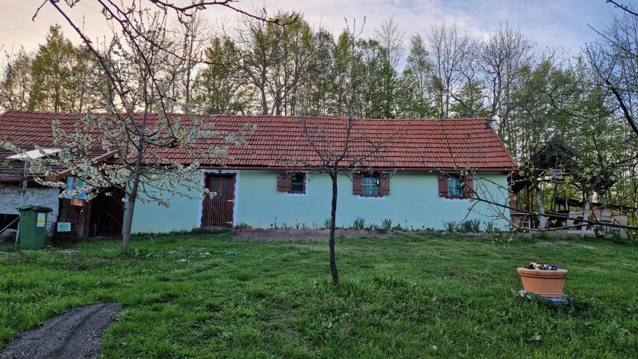La sălaşul fermecat în Cheile Carasului Iabalcea Exterior foto