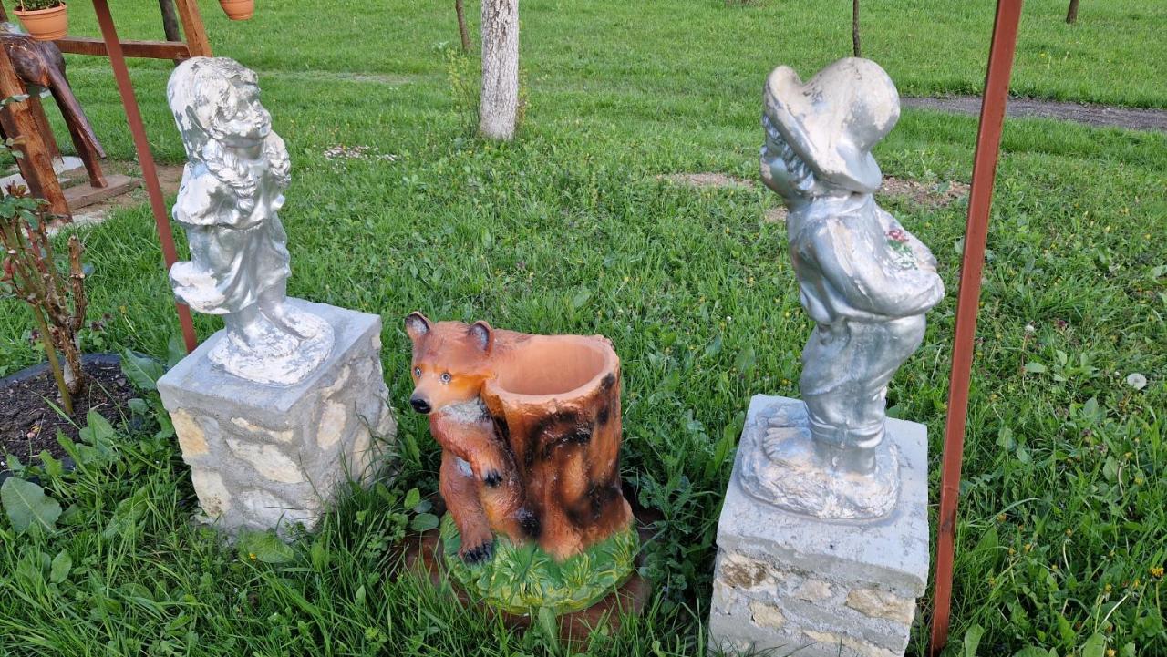 La sălaşul fermecat în Cheile Carasului Iabalcea Exterior foto