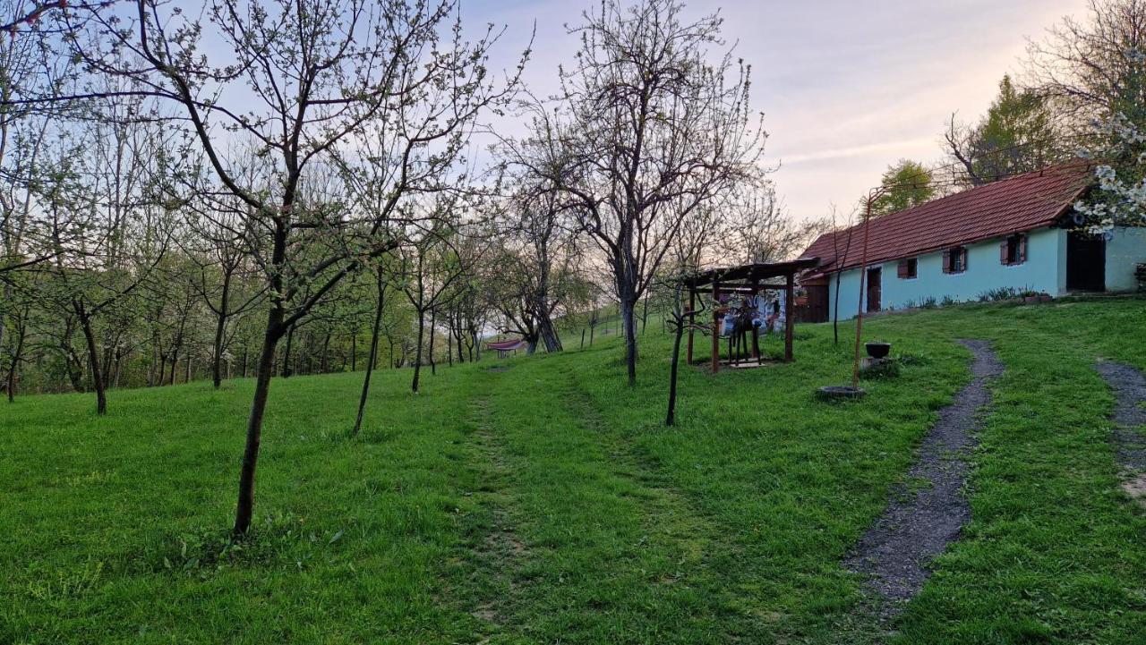 La sălaşul fermecat în Cheile Carasului Iabalcea Exterior foto