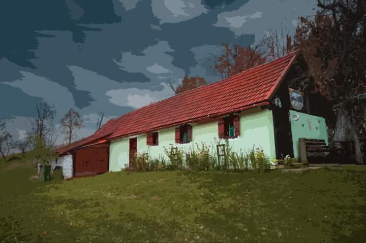 La sălaşul fermecat în Cheile Carasului Iabalcea Exterior foto